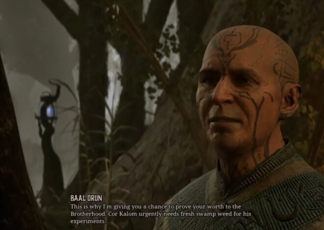 Passo a passo do remake de Gothic 1: como concluir a colheita de Swampweed