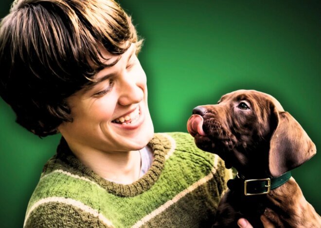 Netflix finalmente revela o primeiro visual de Scooby na série Scooby Doo de ação ao vivo: primeiro trailer explicado