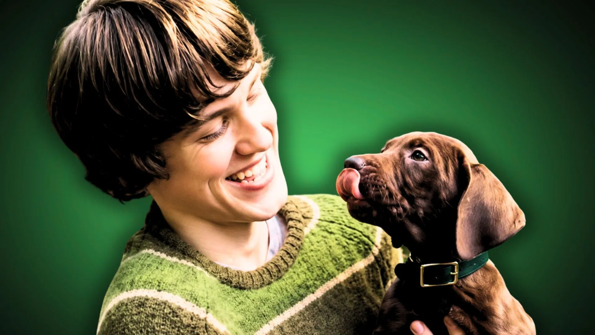 Netflix finalmente revela o primeiro visual de Scooby na série Scooby Doo de ação ao vivo: primeiro trailer explicado
