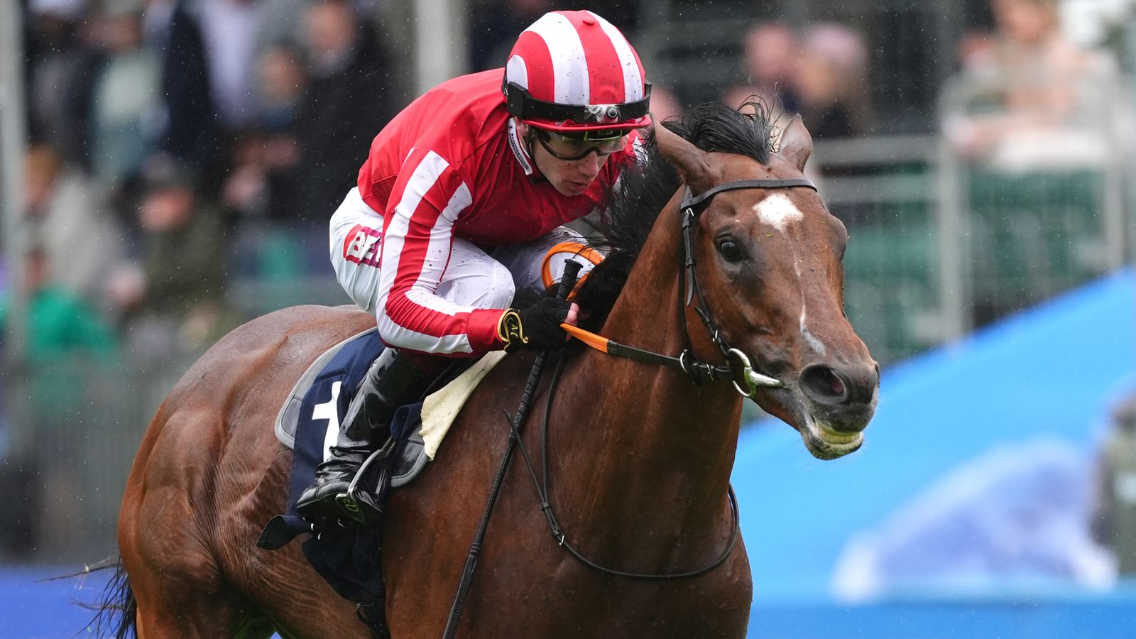Epsom: Bay City Roller destrona Jan Brueghel na Coronation Cup após a vitória de Sparks Fly e Ten Bob Tony | Notícias sobre corridas
