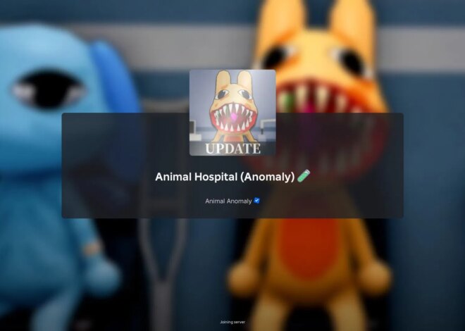 Hospital Animal: um guia para iniciantes